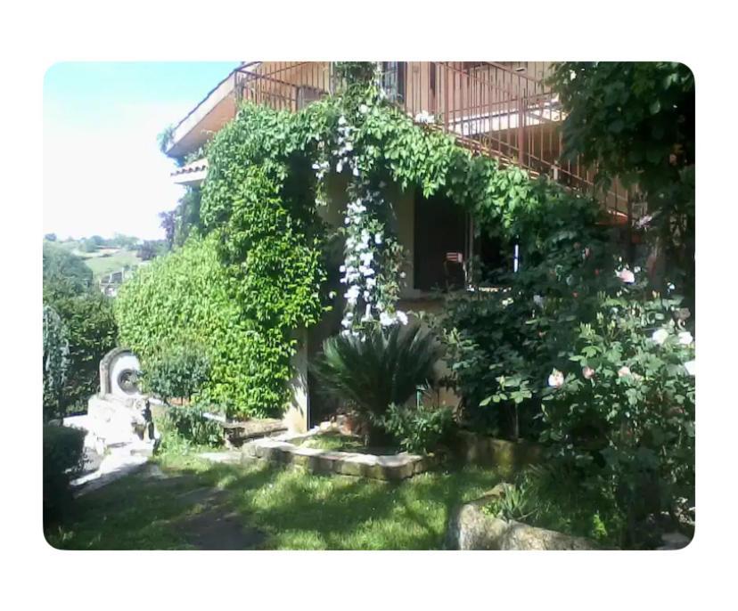 Corelli & Company Rose Musica E Libri Santa Marta Εξωτερικό φωτογραφία